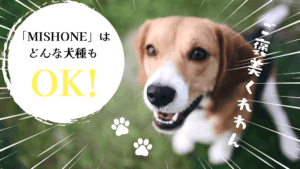 ミシュワン,小型犬用,口コミ,怪しい,100円,お試し,